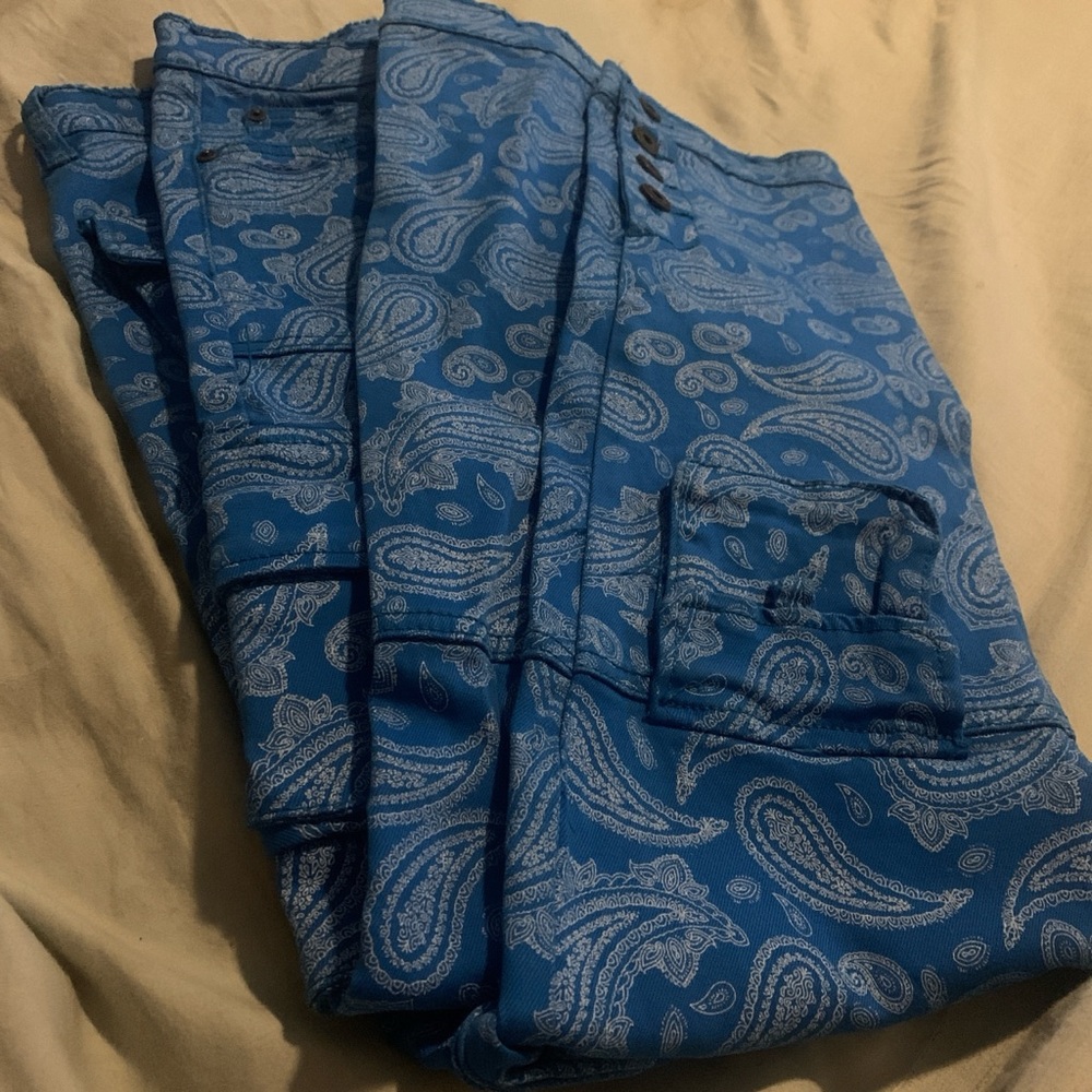 Stylish Blue Paisley Trousers